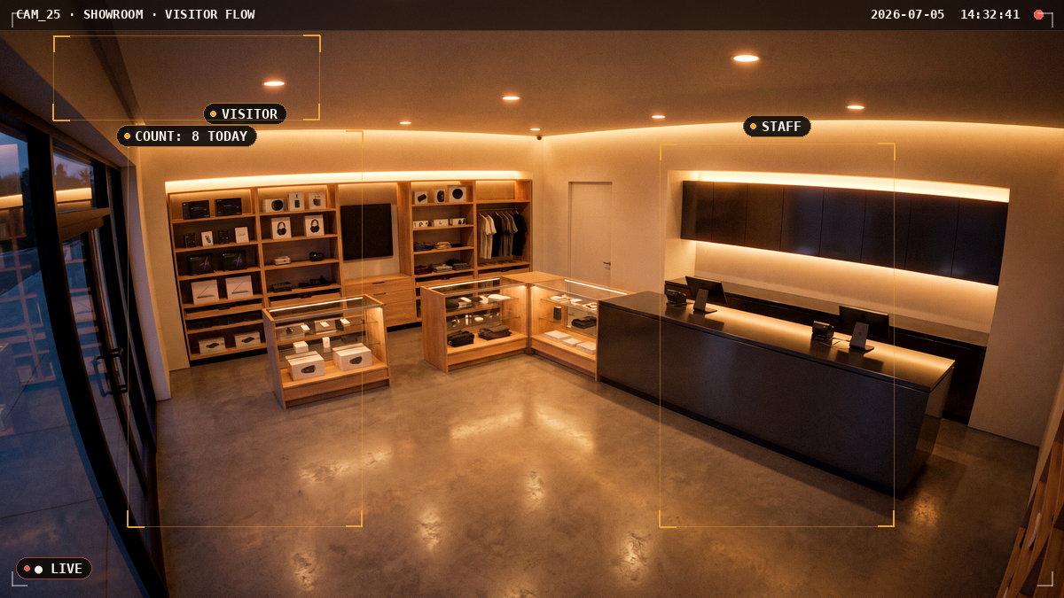 Business analytics from showroom cameras